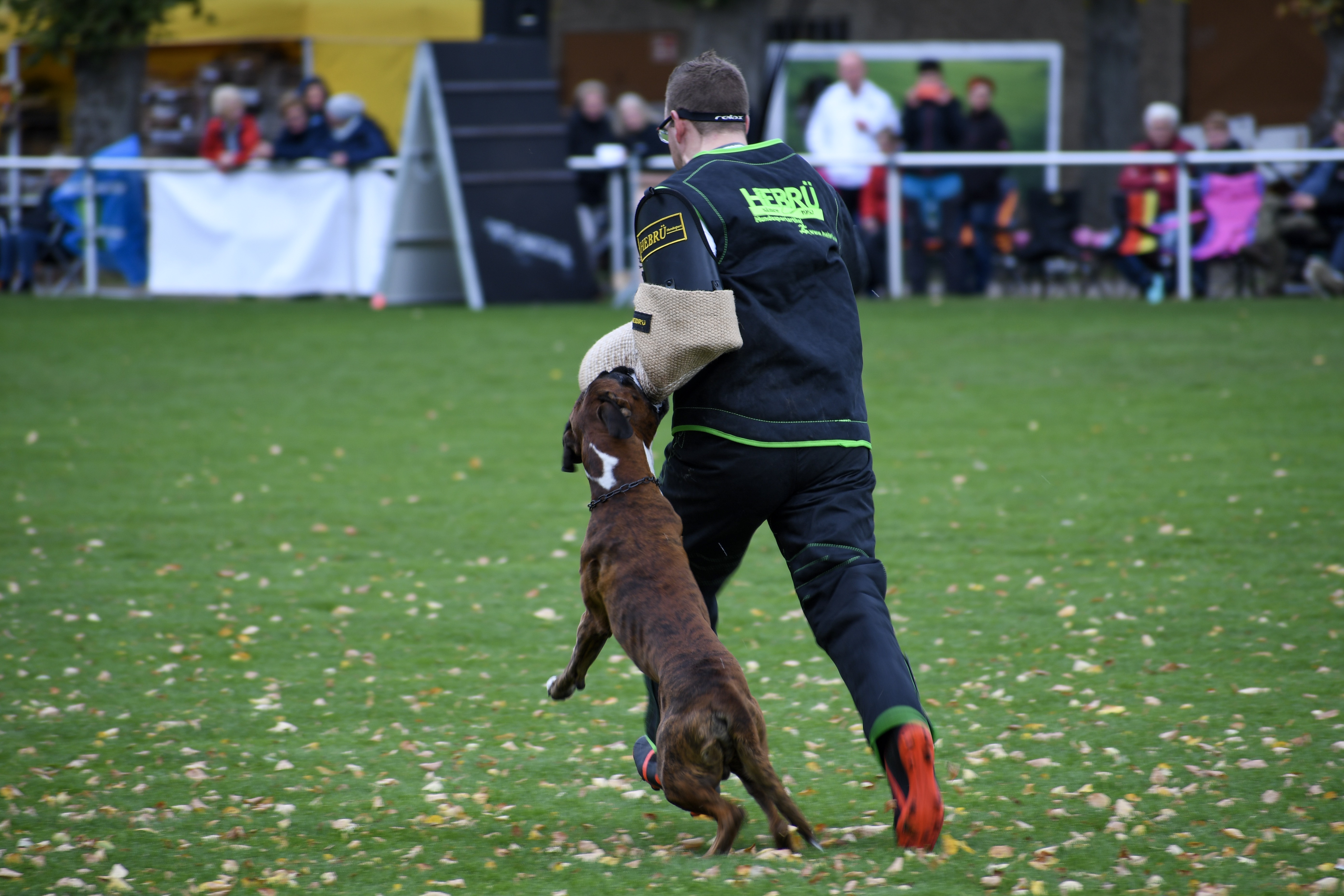 01_IMG_7807 01_IMG_7807