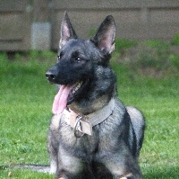 Nova